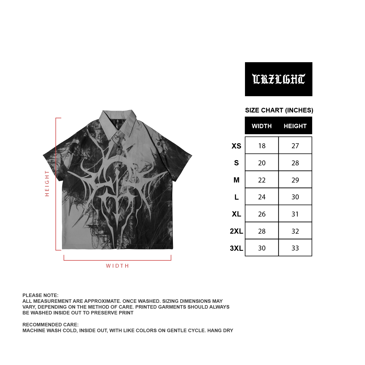 VISION BUTTON-DOWN POLO